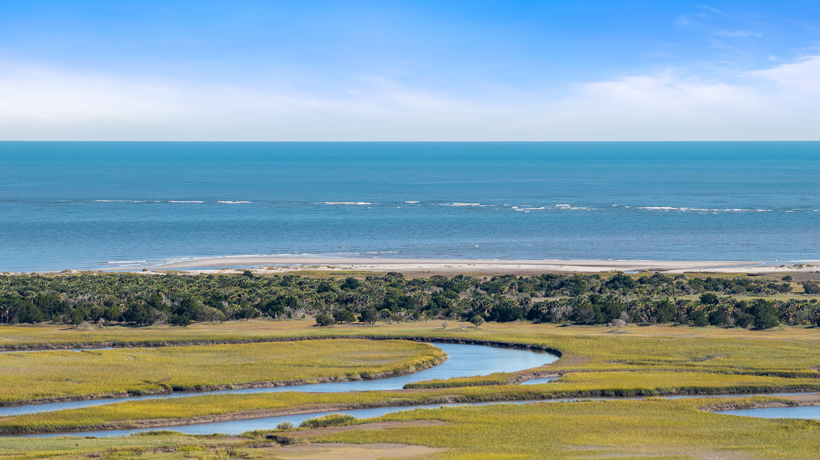 Salt marsh, maritime forest and the Atlantic on Kiawah Island, SC