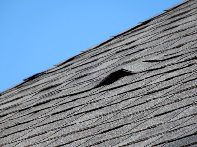 A close view up the roof slope against clear sky. Two grey asphalt shingles have curled away from the course below them, leaving a dark gap open to the deck. The courses either side lie flat.